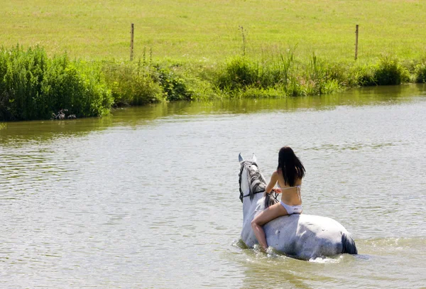 Jeździec na koniu jadący przez wodę — Zdjęcie stockowe