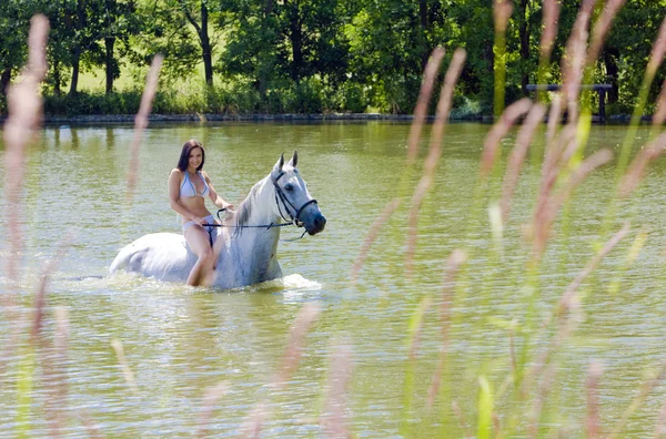 Equestrian on horseback riding through water — Stock Photo, Image