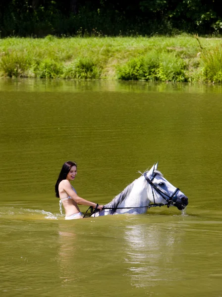 Верховая езда на лошадях по воде — стоковое фото