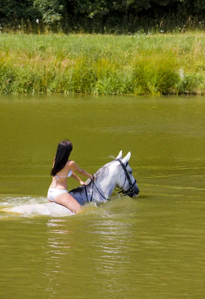 Верховая езда на лошадях по воде — стоковое фото