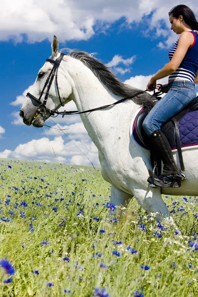 Jeździectwo konne — Zdjęcie stockowe