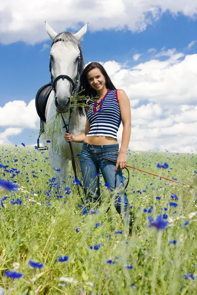 Equestrian with a horse on meadow — Stock Photo, Image