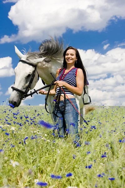 Ecuestre con un caballo en el prado — Foto de Stock