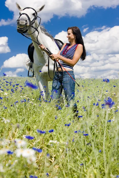 Jezdec s koněm na louce — Stock fotografie