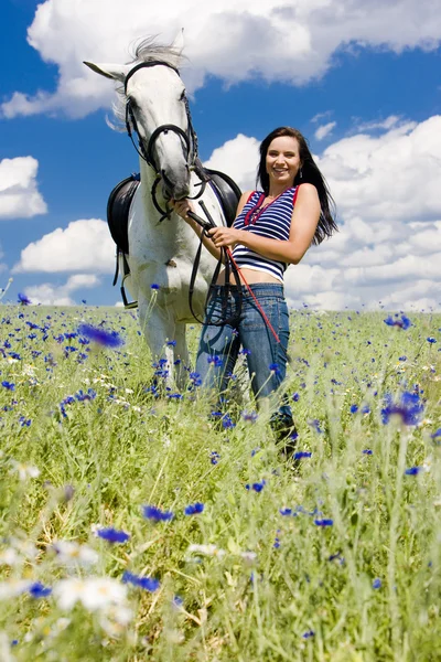Équestre avec un cheval sur prairie — Photo
