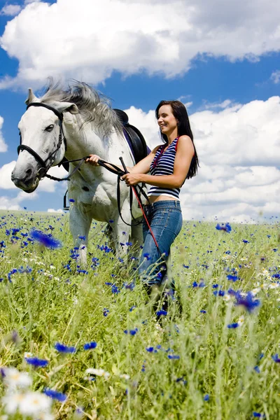 草原馬と乗馬 — ストック写真
