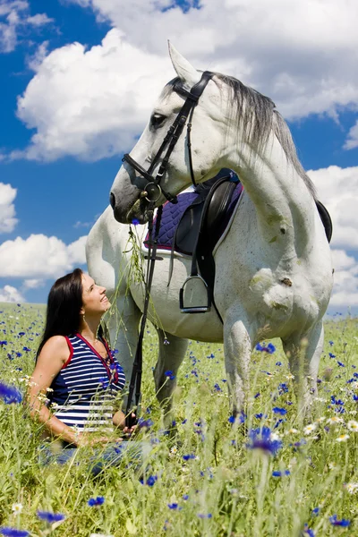 Jezdec s koněm na louce — Stock fotografie