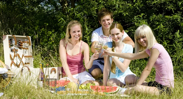 Amici a un picnic — Foto Stock