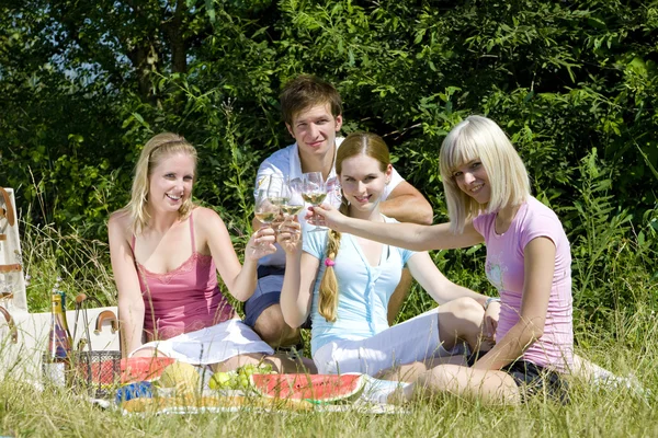 Przyjaciele na pikniku — Zdjęcie stockowe