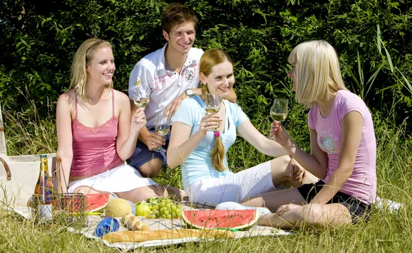 Przyjaciele na pikniku — Zdjęcie stockowe