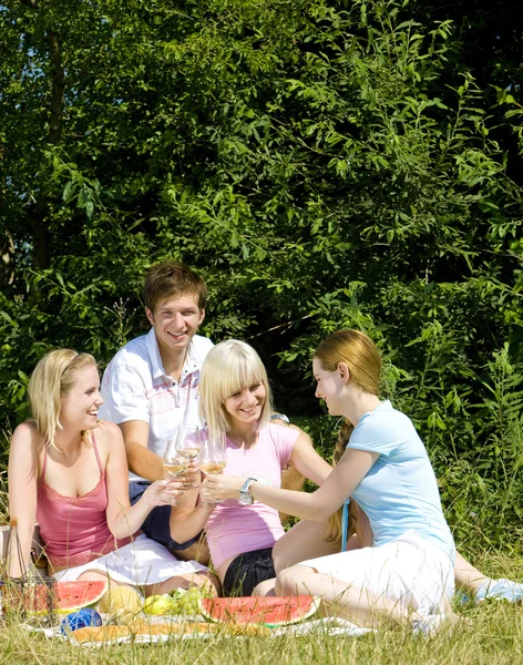 stock image Friends at a picnic