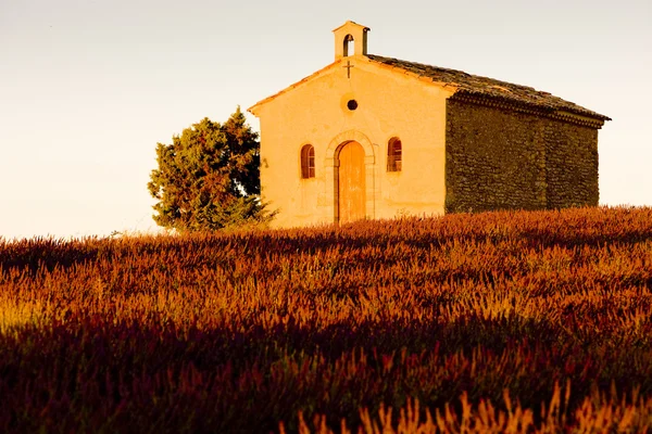 Capilla con campo de lavanda, Meseta de Valensole, Provenza, Fran — Foto de Stock