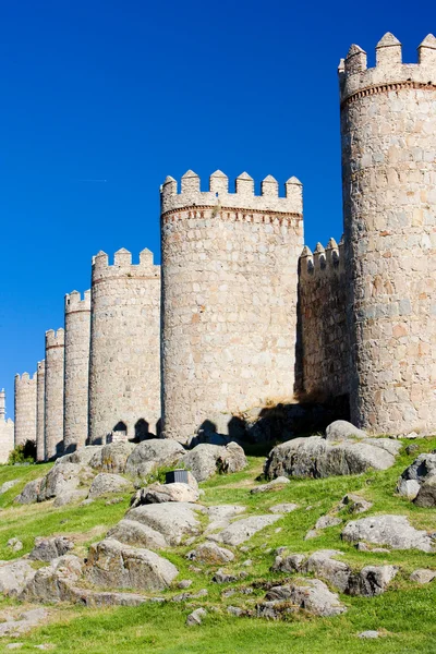 Berikning av avila, Kastilien och leon, Spanien — Stockfoto