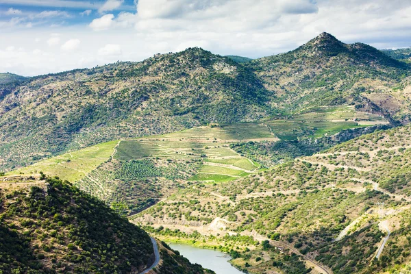 Douron laakso, Portugali — kuvapankkivalokuva