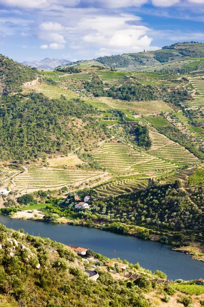 Údolí Douro, Portugalsko — Stock fotografie