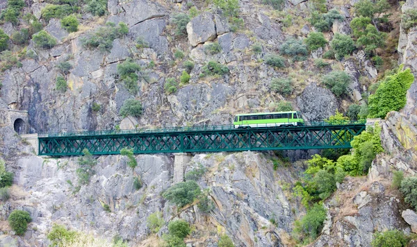 トゥア、ドウロ渓谷、ポルトガルの近く鉄道高架橋上エンジン コーチ — ストック写真