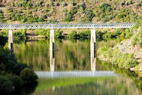 Οδογέφυρας σιδηροδρόμων στην κοιλάδα douro, Πορτογαλία — Φωτογραφία Αρχείου