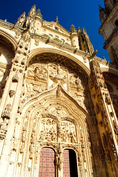哥特式大教堂、 萨拉曼卡、 卡斯蒂利亚和莱昂，西班牙的细节 — 图库照片