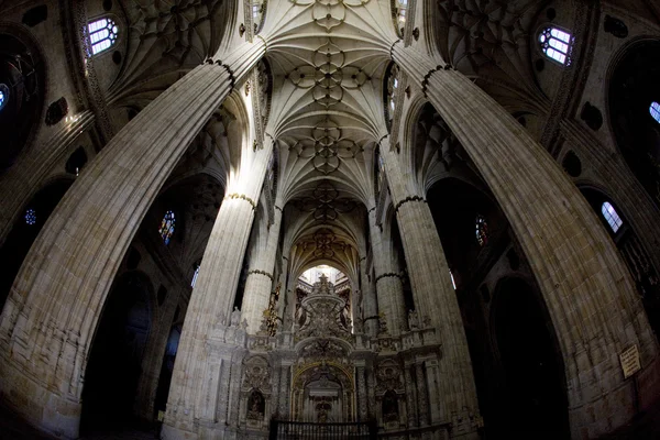 Interieur van de kathedraal in salamanca, Castilië en León, Spanje — Stockfoto