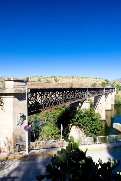 Viaduct feroviar lângă granița dintre Portugalia, Castilia și Leon, Spania — Fotografie, imagine de stoc