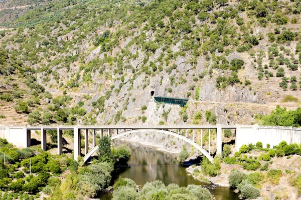 Rautatie- ja maantiekuljetukset Douro Valleyssa, Portugalissa — kuvapankkivalokuva