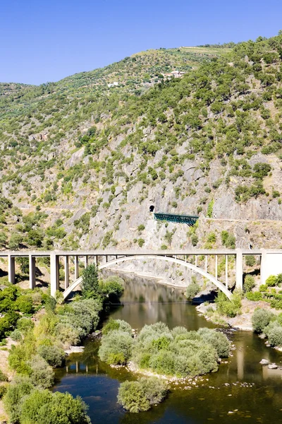 Železniční a silniční viaduktů v údolí řeky douro, Portugalsko — Stock fotografie