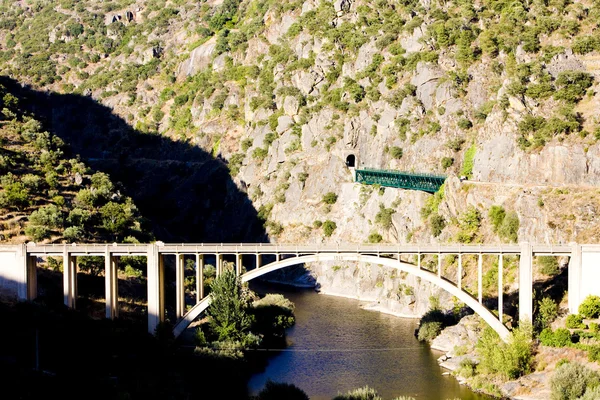 Spoorweg- en wegvervoer viaducten in de Dourovallei, portugal — Stockfoto