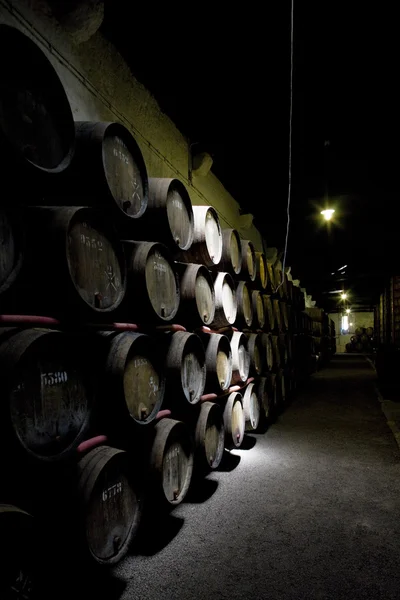 Croft vinařství, porto, provincii douro, Portugalsko — Stock fotografie