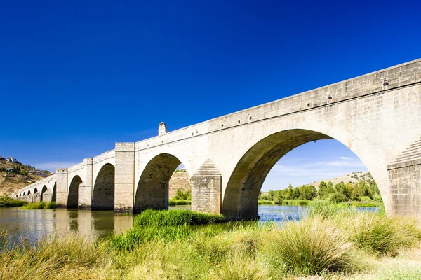 Broen i Medellin, Badajoz-provinsen, Extremadura, Spanien - Stock-foto