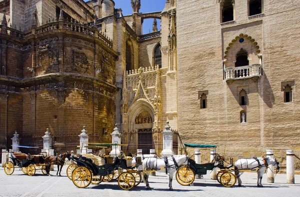 Carruajes frente a Catedral de Sevilla, Andalucía, España —  Fotos de Stock