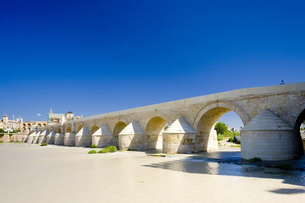 Römische Brücke, Cordoba, Andalusien, Spanien — Stockfoto