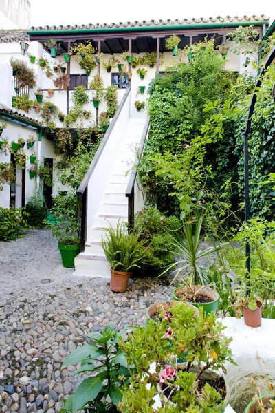 西班牙Andalusia, Cordoba, patio (庭院) — 图库照片