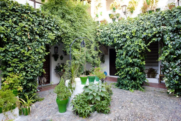 Innenhof, Cordoba, Andalusien, Spanien — Stockfoto