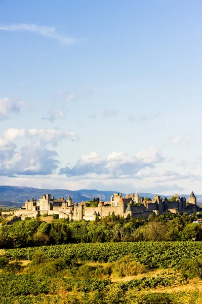 Carcassonne, languedoc-roussillon, Fransa — Stok fotoğraf