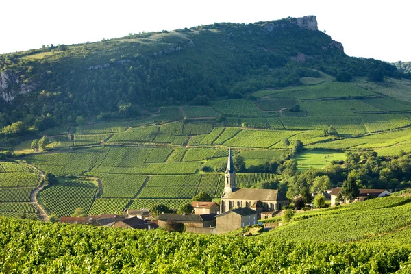 Vergisson mit Weinbergen, Burgund, Frankreich — Stockfoto