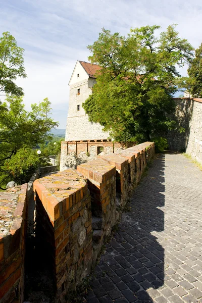Slottet i bratislava, Slovakien — Stockfoto