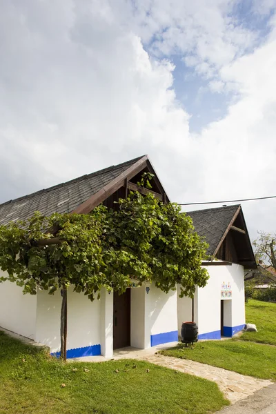 葡萄酒酒窖，blatnice pod svatym antoninkem，捷克共和国 — 图库照片