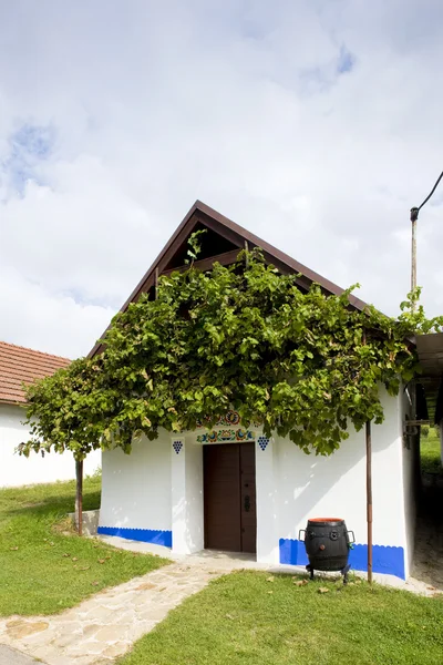 Vinný sklep, blatnice pod Svatým antoninkem, Česká republika — Stock fotografie