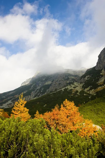 Gran Valle Frío, Vysoke Tatry (High Tatras), Eslovaquia — Foto de Stock