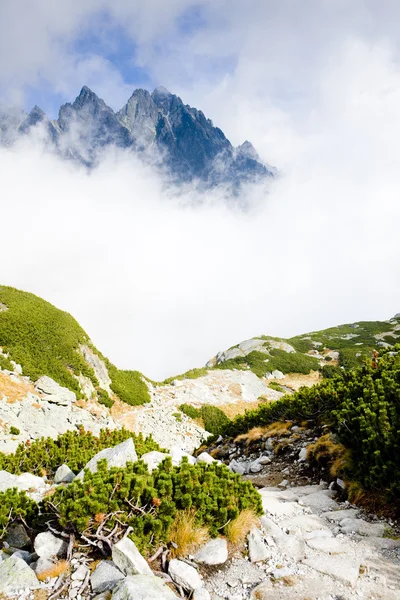Great Cold Valley, Vysoke Tatry (High Tatras), Slovakia — Stock Photo, Image