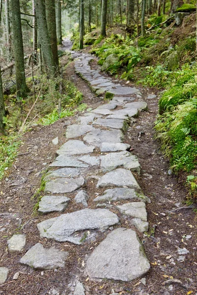 Path in Vysoke Tatry (High Tatras), Slovakia — Stock Photo, Image