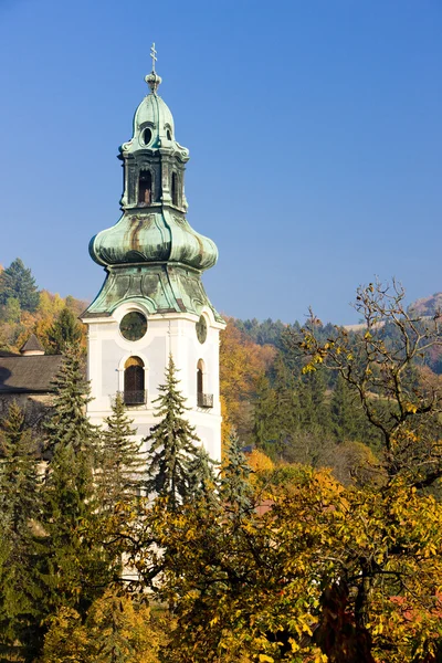 Gamla slottet, Banska Stiavnica, Slovakien — Stockfoto
