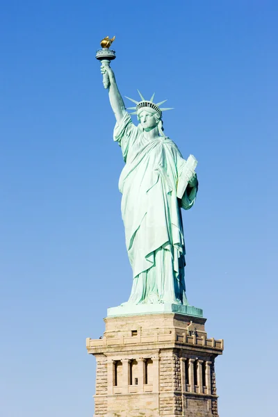 Standbeeld van vrijheid nationaal monument, new york, Verenigde Staten — Stockfoto