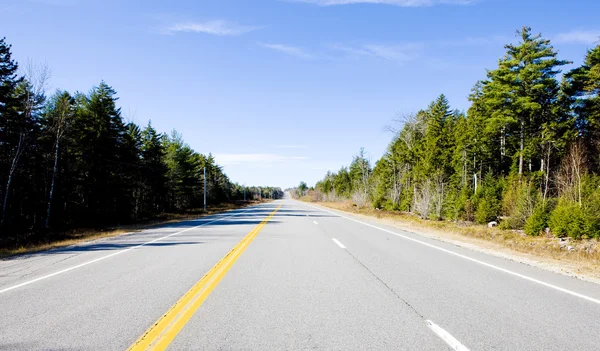 Road, Maine, USA — Stock Photo, Image