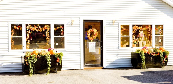 Casa decorata per Halloween, Maine, Stati Uniti d'America — Foto Stock