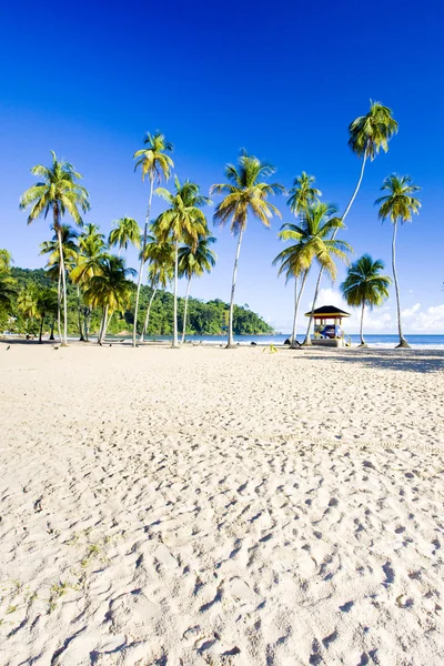 Stuga på stranden, maracas bay, trinidad — Stockfoto