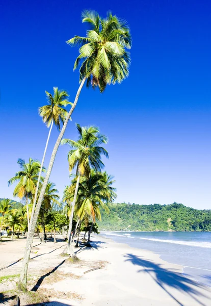 Maracas Bay, Trinidad — Stockfoto