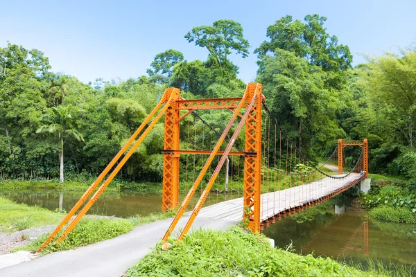 Suspension bridge, Blanchisseuse, Trinidad — Stock Photo, Image