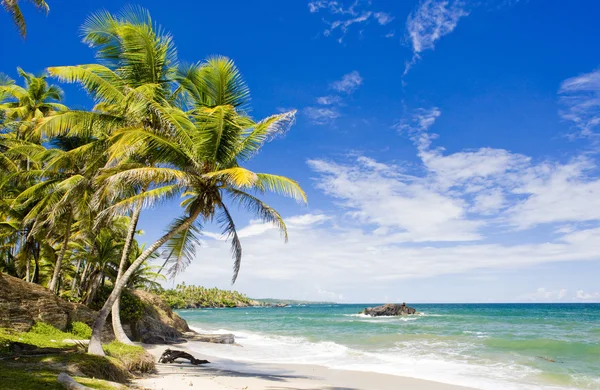 Cumaná baía, trinidad — Fotografia de Stock