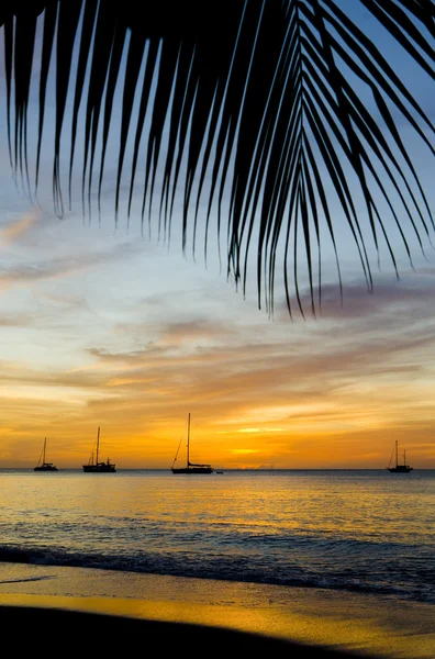 カリブ海、グランデ アンジュ湾、グレナダに沈む夕日 — ストック写真